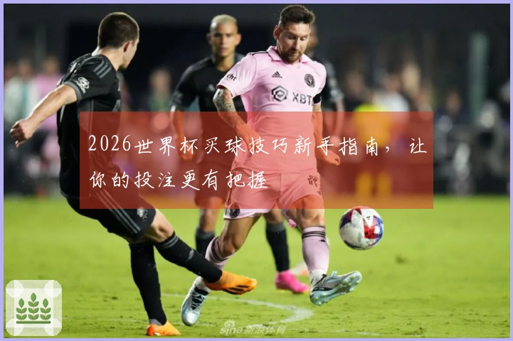 2026世界杯买球技巧新手指南，让你的投注更有把握