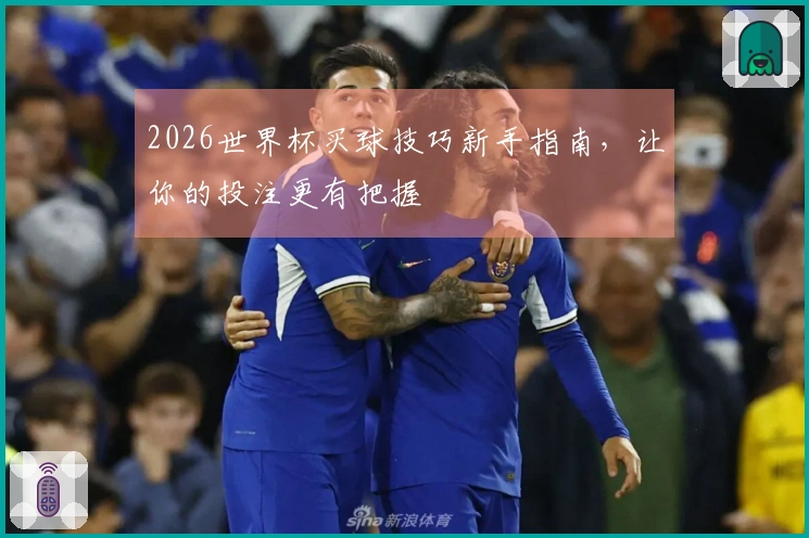 2026世界杯买球技巧新手指南，让你的投注更有把握