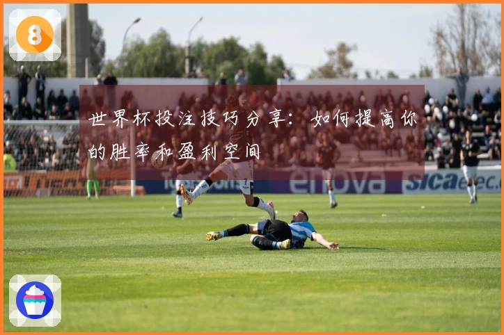 世界杯投注技巧分享：如何提高你的胜率和盈利空间